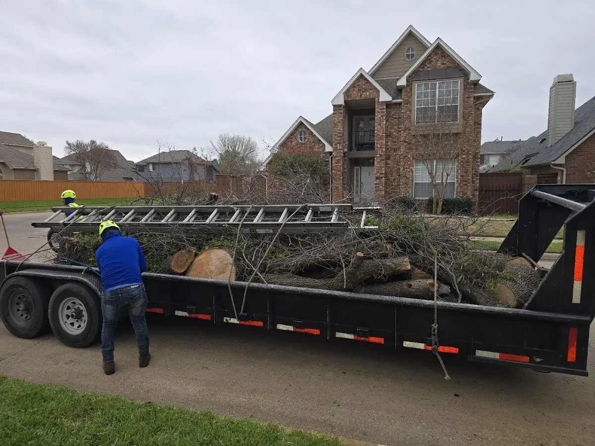 Expert Crown Reduction with proper safety equipment in Hahnville